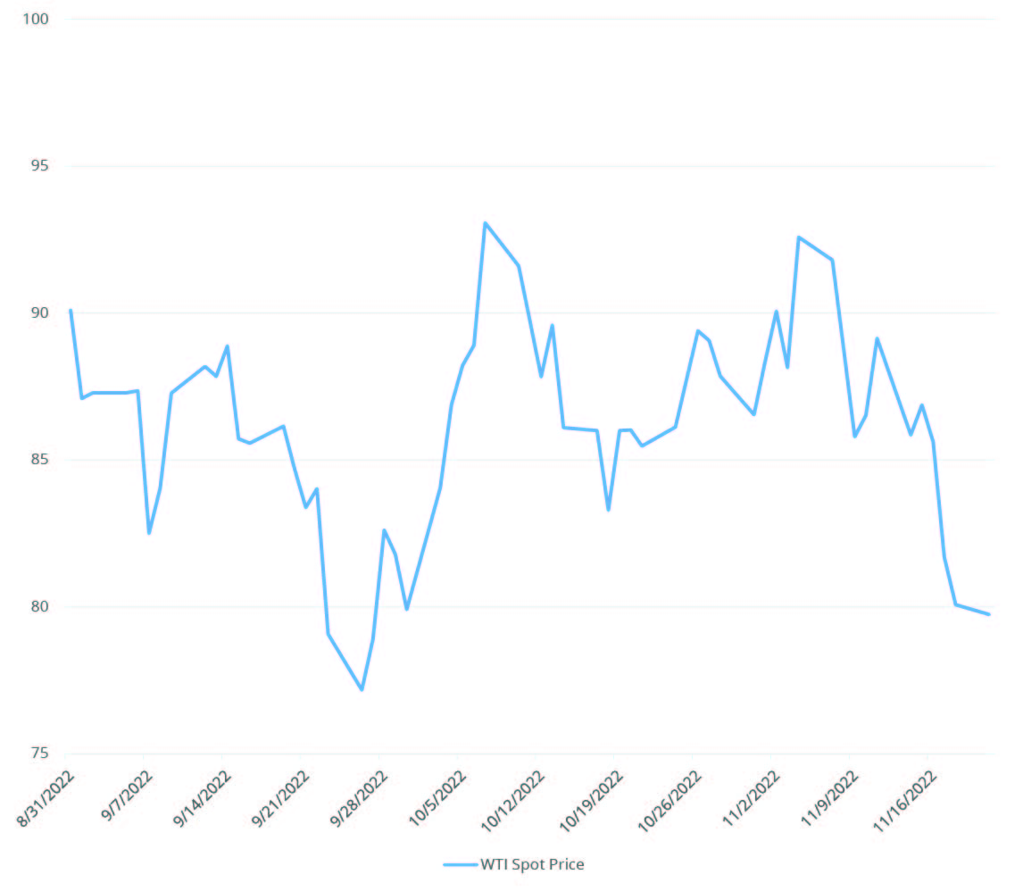 Gush store stock price