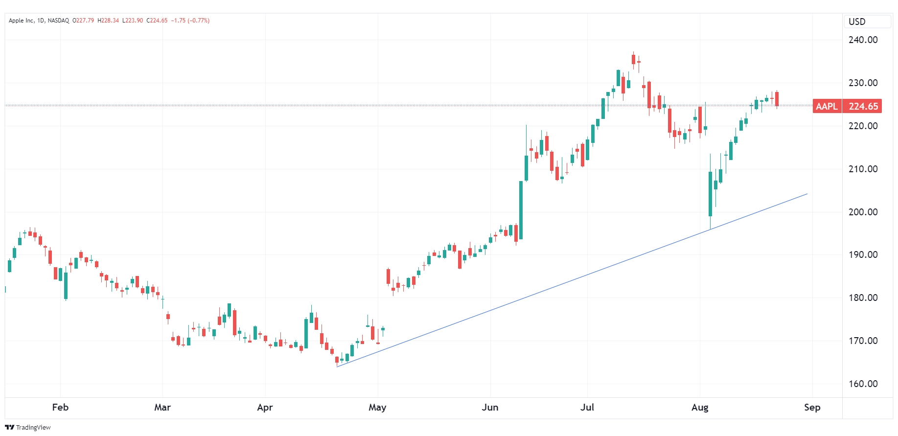 Daily chart of AAPL as of August 22, 2024