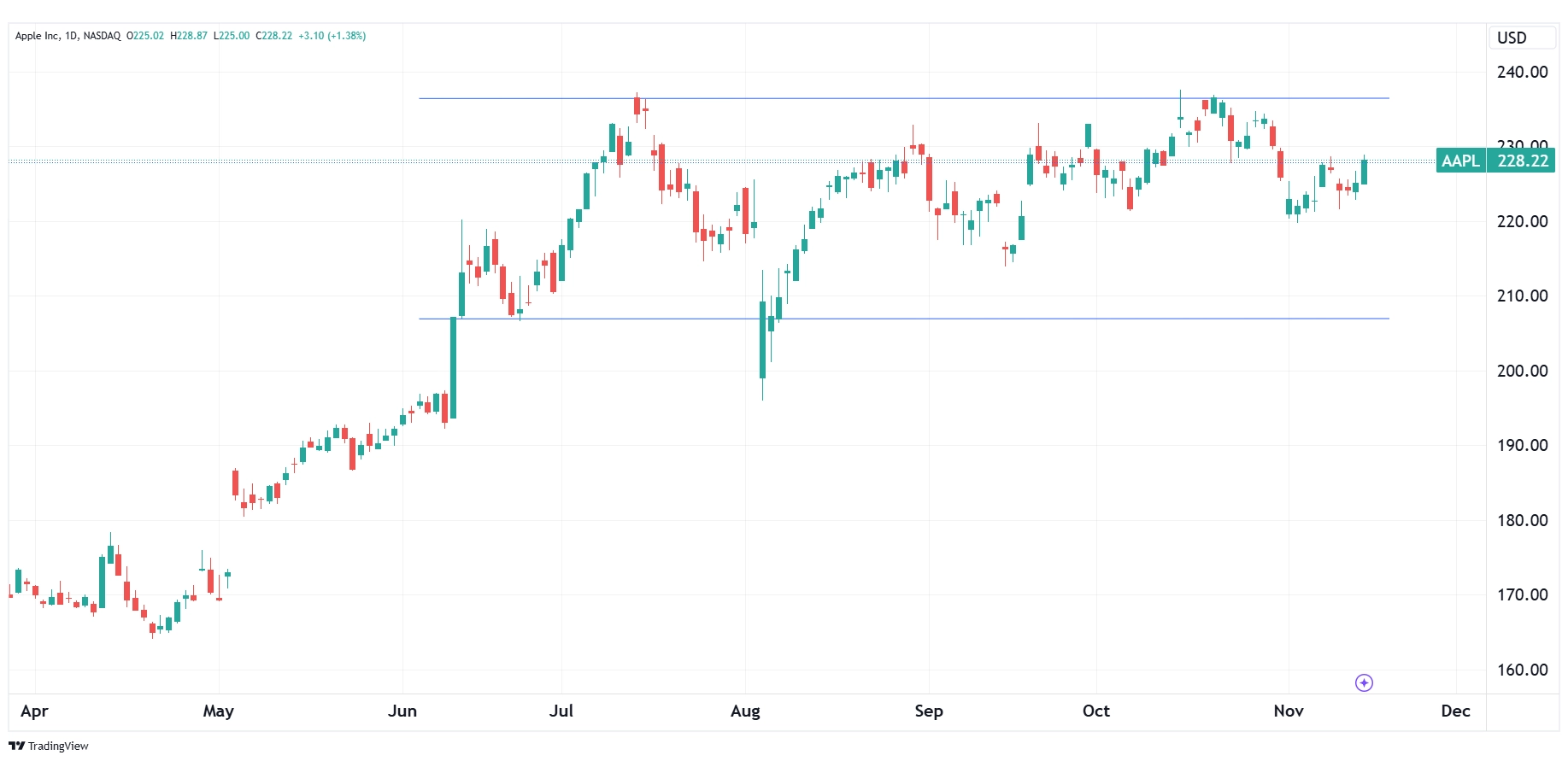 Daily chart of AAPL as of November 14, 2024