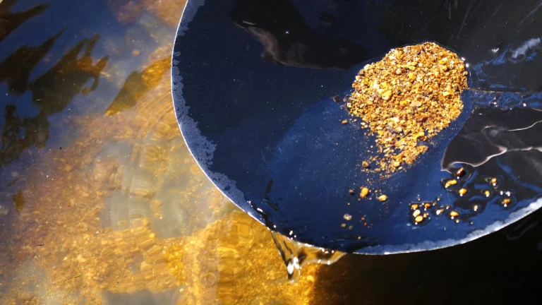 A close-up view of a gold pan with pieces of gold on it